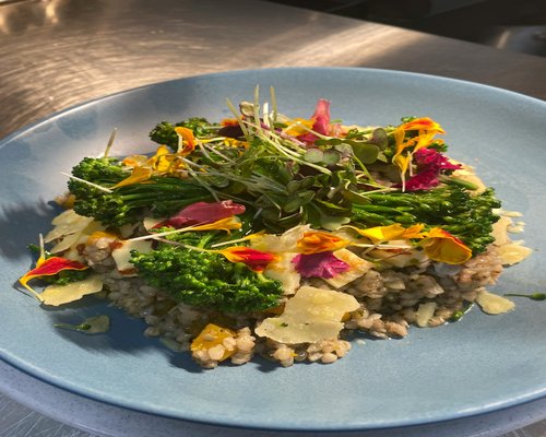 A freshly prepared balanced dining plate featuring localized whole whole wheat grains and crisp seasonal greens on a solid light tabletop background
